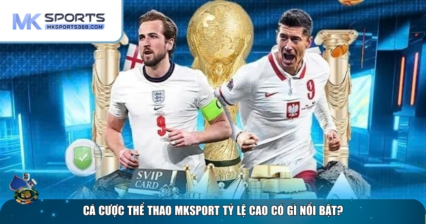 Giới thiệu về cá cược thể thao MKSPORT tỷ lệ cao